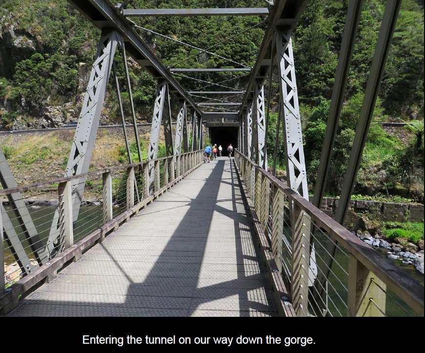 coro201534.jpg (255897 bytes)